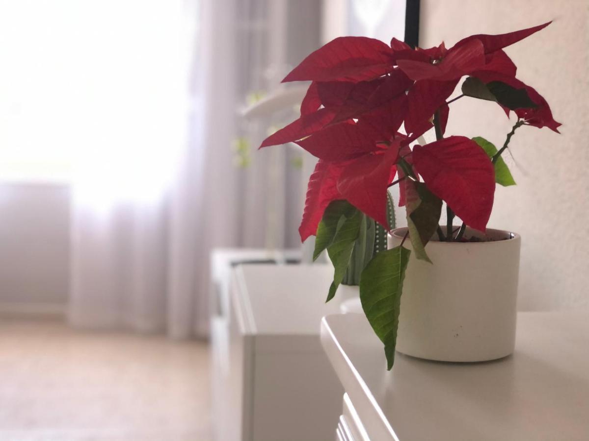 Apartament Vista Horizonte Puerto de la Cruz  Zewnętrze zdjęcie